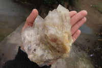 Natural Cascading Smokey Quartz Clusters x 2 From Luena, Congo - Toprock Gemstones and Minerals 