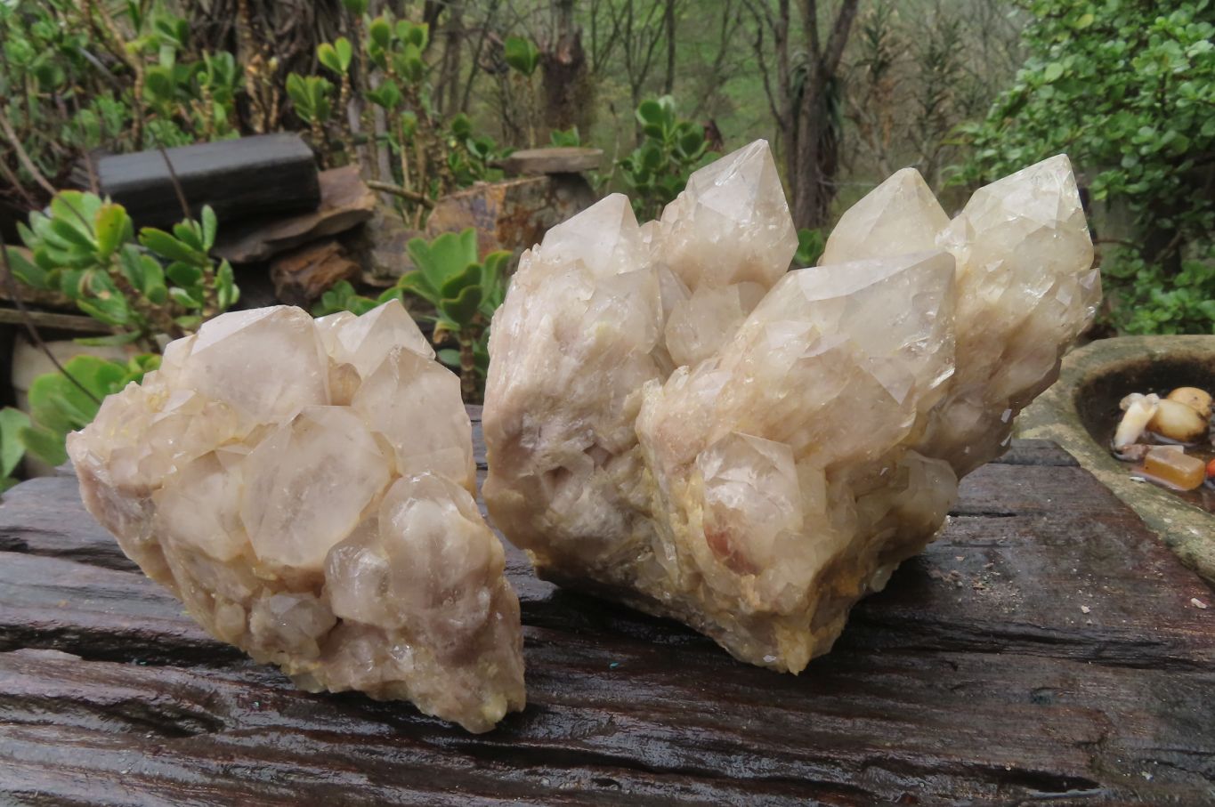 Natural Cascading Smokey Quartz Clusters x 2 From Luena, Congo - Toprock Gemstones and Minerals 