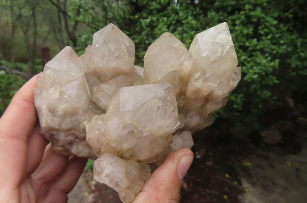 Natural Cascading Smokey Quartz Clusters x 2 From Luena, Congo - Toprock Gemstones and Minerals 
