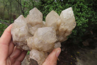Natural Cascading Smokey Quartz Clusters x 2 From Luena, Congo - Toprock Gemstones and Minerals 
