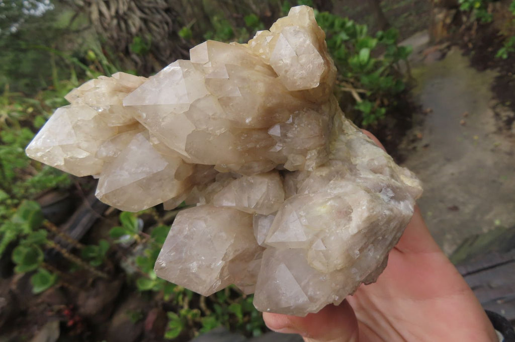 Natural Cascading Smokey Quartz Clusters x 2 From Luena, Congo - Toprock Gemstones and Minerals 