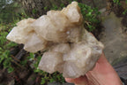 Natural Cascading Smokey Quartz Clusters x 2 From Luena, Congo - Toprock Gemstones and Minerals 