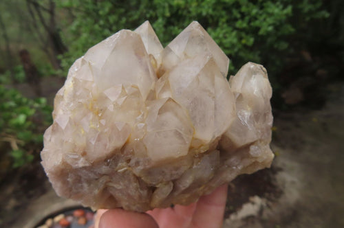 Natural Cascading Smokey Quartz Clusters x 2 From Luena, Congo - Toprock Gemstones and Minerals 