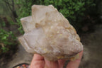 Natural Cascading Smokey Quartz Clusters x 2 From Luena, Congo - Toprock Gemstones and Minerals 