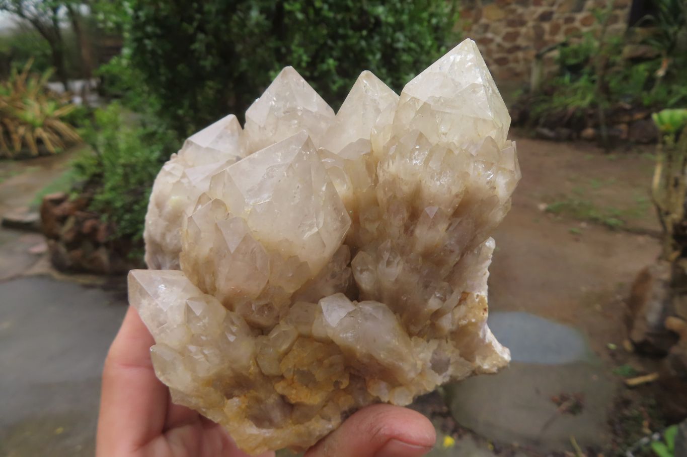 Natural Cascading Smokey Quartz Clusters x 2 From Luena, Congo - Toprock Gemstones and Minerals 