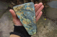 Polished Labradorite Standing Free Forms x 2 From Tulear, Madagascar - Toprock Gemstones and Minerals 