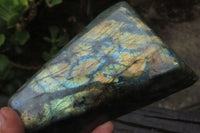 Polished Labradorite Standing Free Forms x 2 From Tulear, Madagascar - Toprock Gemstones and Minerals 