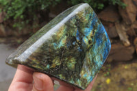 Polished Labradorite Standing Free Forms x 2 From Tulear, Madagascar - Toprock Gemstones and Minerals 