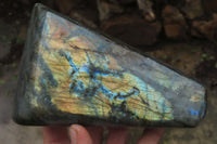 Polished Labradorite Standing Free Forms x 2 From Tulear, Madagascar - Toprock Gemstones and Minerals 
