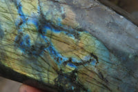 Polished Labradorite Standing Free Forms x 2 From Tulear, Madagascar - Toprock Gemstones and Minerals 
