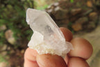 Natural Clear Quartz Crystals x 63 From Mpika, Zambia - Toprock Gemstones and Minerals 