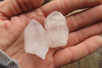 Natural Clear Quartz Crystals x 63 From Mpika, Zambia