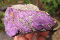 Natural Metallic Purpurite Cobbed Specimens x 12 From Erongo, Namibia - Toprock Gemstones and Minerals 