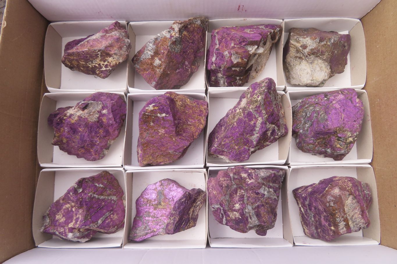 Natural Metallic Purpurite Cobbed Specimens x 12 From Erongo, Namibia - Toprock Gemstones and Minerals 