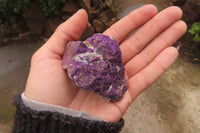 Natural Metallic Purpurite Cobbed Specimens x 12 From Erongo, Namibia - Toprock Gemstones and Minerals 