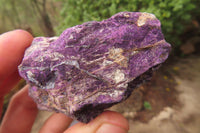 Natural Metallic Purpurite Cobbed Specimens x 12 From Erongo, Namibia - Toprock Gemstones and Minerals 