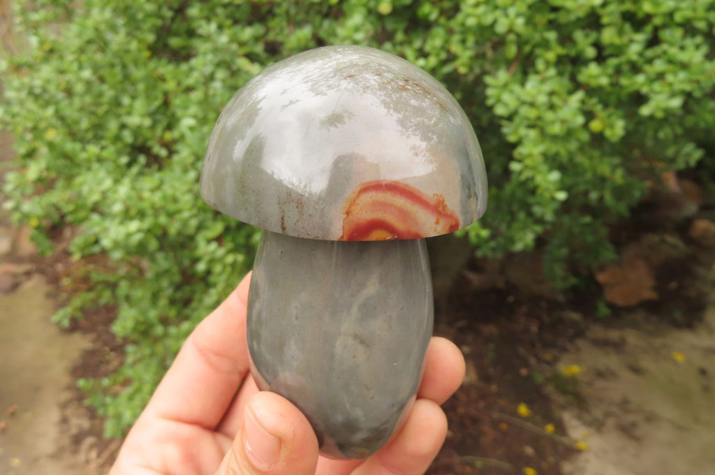 Polished Polychrome Jasper Mushrooms x 6 From Madagascar - Toprock Gemstones and Minerals 