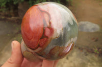 Polished Polychrome Jasper Mushrooms x 6 From Madagascar - Toprock Gemstones and Minerals 