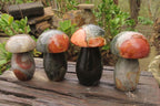 Polished Polychrome Jasper Mushrooms x 6 From Madagascar - Toprock Gemstones and Minerals 