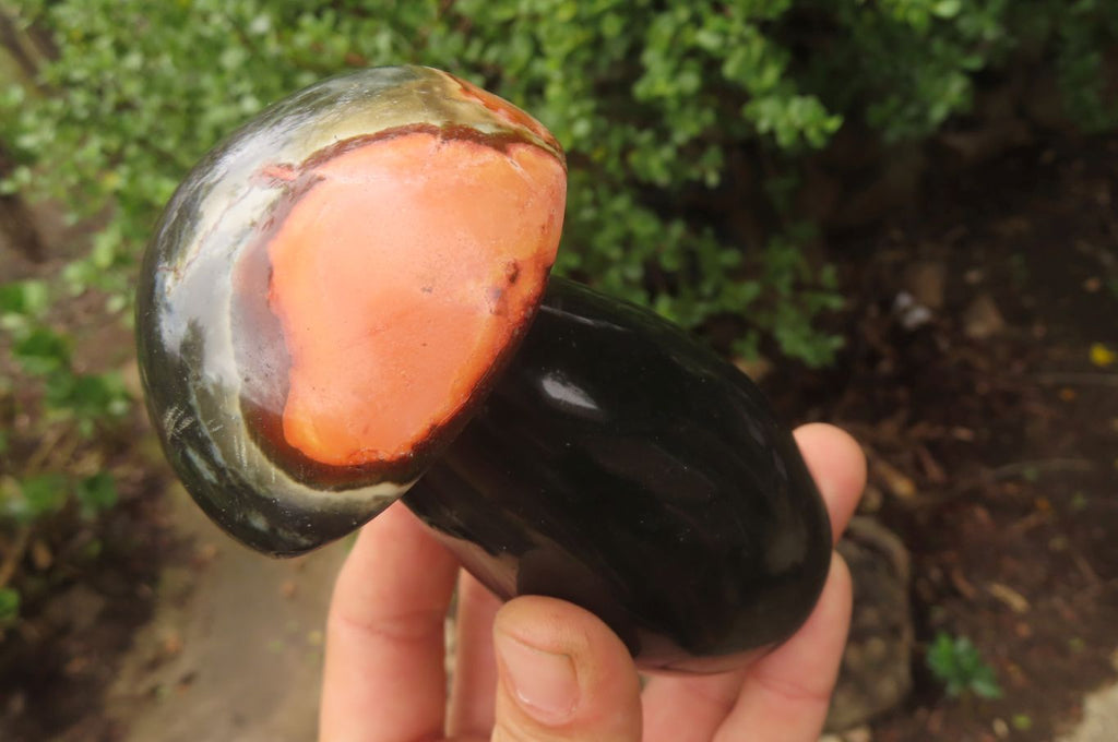 Polished Polychrome Jasper Mushrooms x 6 From Madagascar - Toprock Gemstones and Minerals 