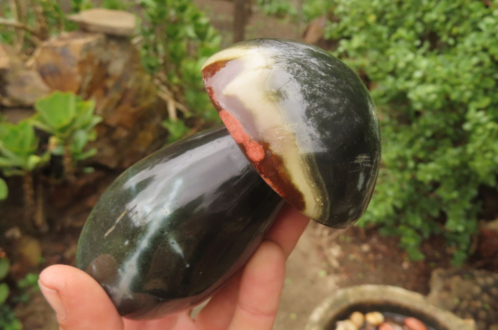Polished Polychrome Jasper Mushrooms x 6 From Madagascar - Toprock Gemstones and Minerals 