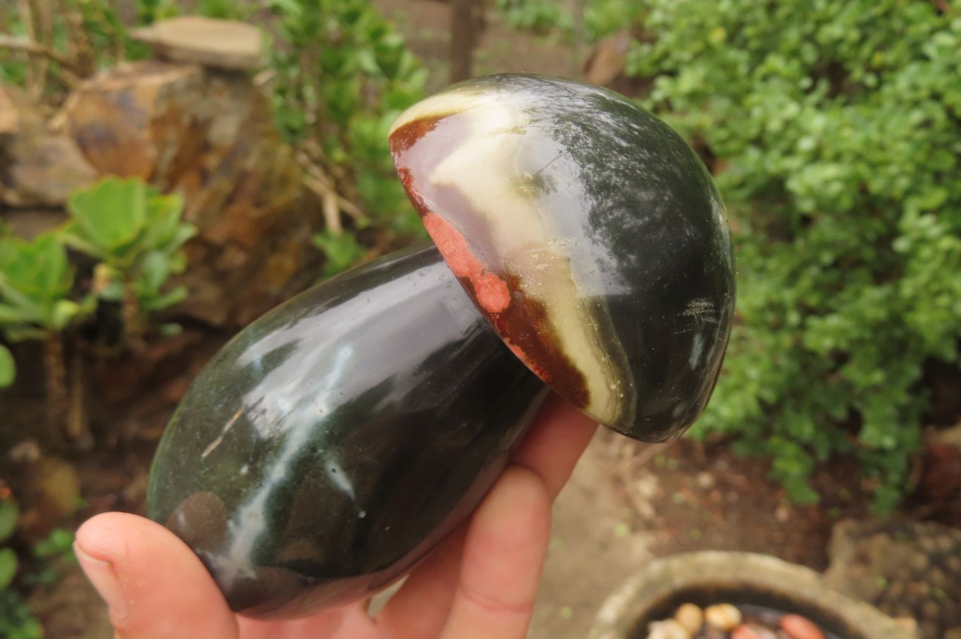 Polished Polychrome Jasper Mushrooms x 6 From Madagascar - Toprock Gemstones and Minerals 