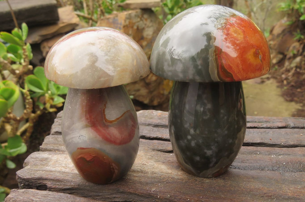 Polished Polychrome Jasper Mushrooms x 6 From Madagascar - Toprock Gemstones and Minerals 