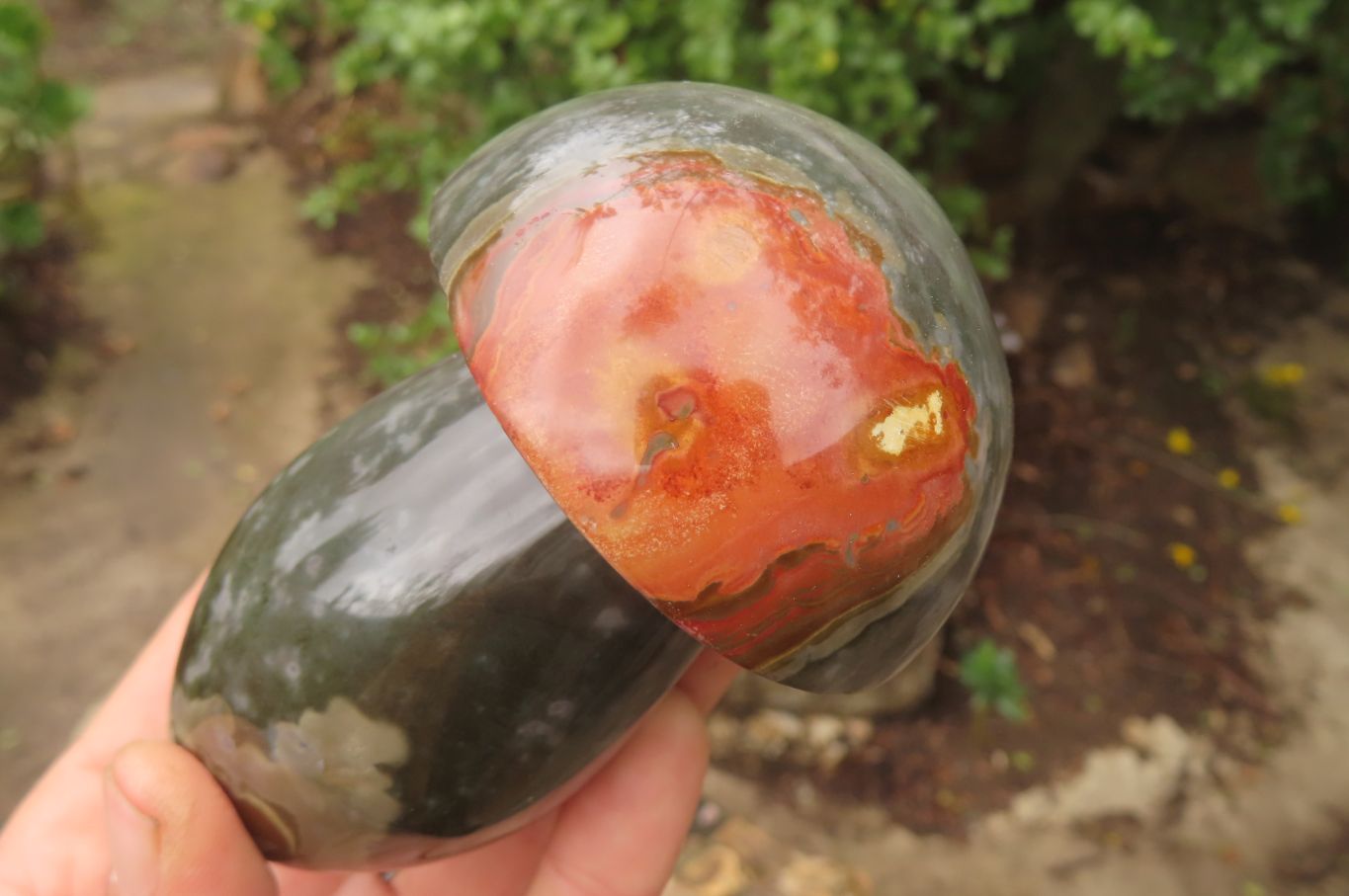 Polished Polychrome Jasper Mushrooms x 6 From Madagascar - Toprock Gemstones and Minerals 