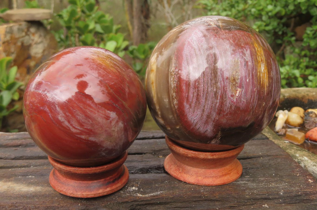 Polished Red Podocarpus Petrified Wood Spheres x 2 From Madagascar - Toprock Gemstones and Minerals 