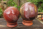 Polished Red Podocarpus Petrified Wood Spheres x 2 From Madagascar - Toprock Gemstones and Minerals 