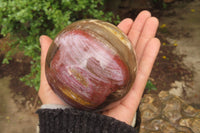 Polished Red Podocarpus Petrified Wood Spheres x 2 From Madagascar - Toprock Gemstones and Minerals 