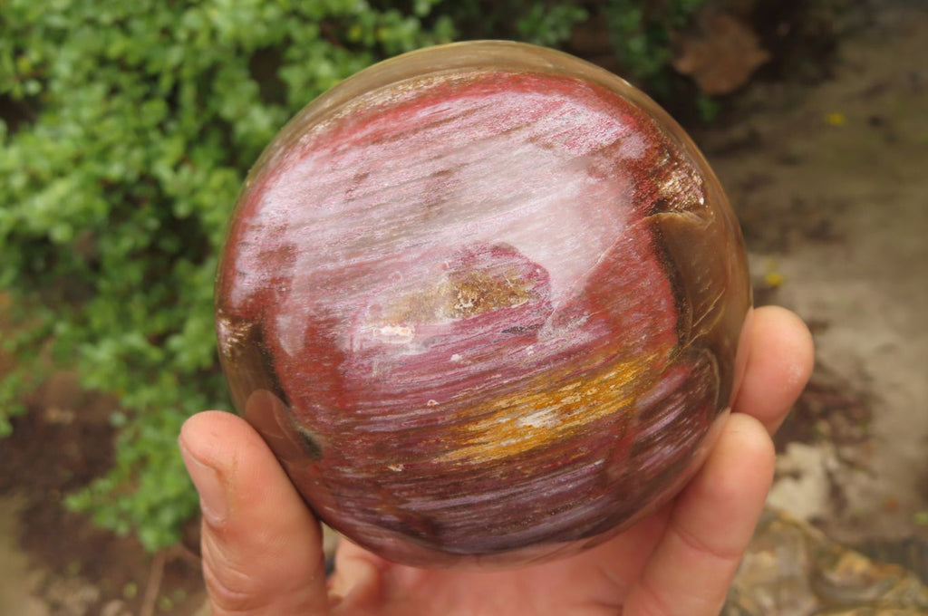 Polished Red Podocarpus Petrified Wood Spheres x 2 From Madagascar - Toprock Gemstones and Minerals 