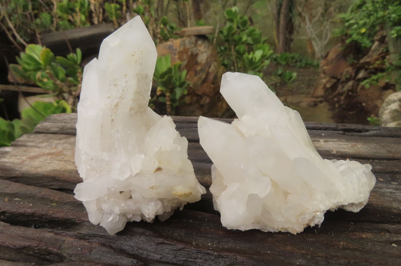 Natural Clear Phantom Quartz Clusters x 6 From Madagascar - Toprock Gemstones and Minerals 