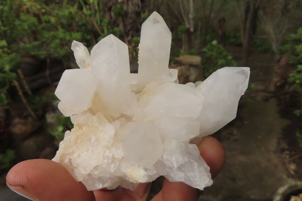 Natural Clear Phantom Quartz Clusters x 6 From Madagascar - Toprock Gemstones and Minerals 