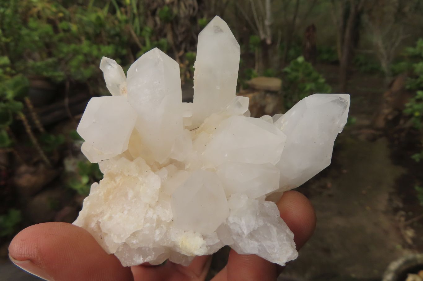 Natural Clear Phantom Quartz Clusters x 6 From Madagascar - Toprock Gemstones and Minerals 