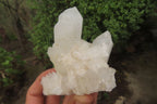 Natural Clear Phantom Quartz Clusters x 6 From Madagascar - Toprock Gemstones and Minerals 