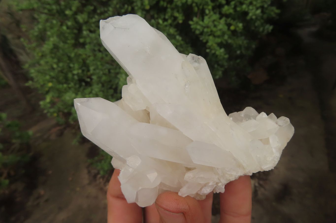 Natural Clear Phantom Quartz Clusters x 6 From Madagascar - Toprock Gemstones and Minerals 