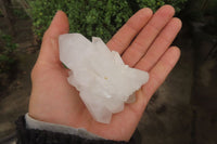 Natural Clear Phantom Quartz Clusters x 6 From Madagascar - Toprock Gemstones and Minerals 