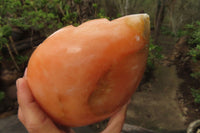 Polished Orange Twist Calcite Leaf Sculpture x 1 From Maevantanana, Madagascar - Toprock Gemstones and Minerals 