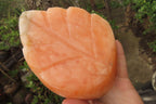 Polished Orange Twist Calcite Leaf Sculpture x 1 From Maevantanana, Madagascar - Toprock Gemstones and Minerals 
