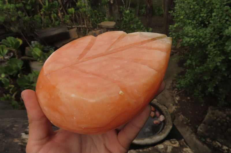 Polished Orange Twist Calcite Leaf Sculpture x 1 From Maevantanana, Madagascar - Toprock Gemstones and Minerals 