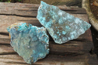 Natural Drusy Coated Chrysocolla Specimens x 2 From Congo - Toprock Gemstones and Minerals 
