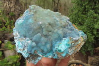 Natural Drusy Coated Chrysocolla Specimens x 2 From Congo - Toprock Gemstones and Minerals 