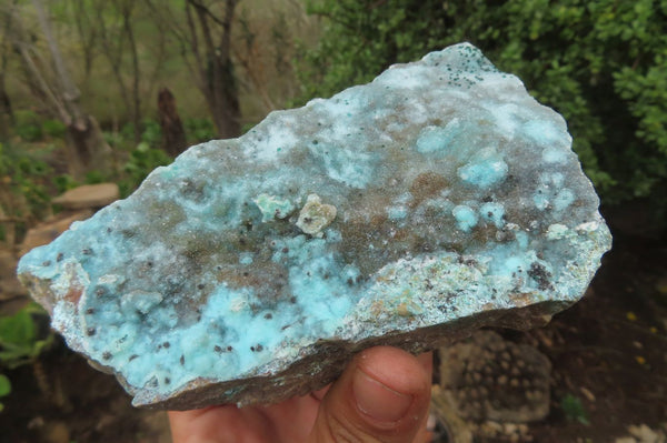 Natural Drusy Coated Chrysocolla Specimens x 2 From Congo - Toprock Gemstones and Minerals 