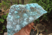 Natural Drusy Coated Chrysocolla Specimens x 2 From Congo - Toprock Gemstones and Minerals 