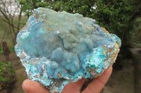 Natural Drusy Coated Chrysocolla Specimens x 2 From Congo - Toprock Gemstones and Minerals 