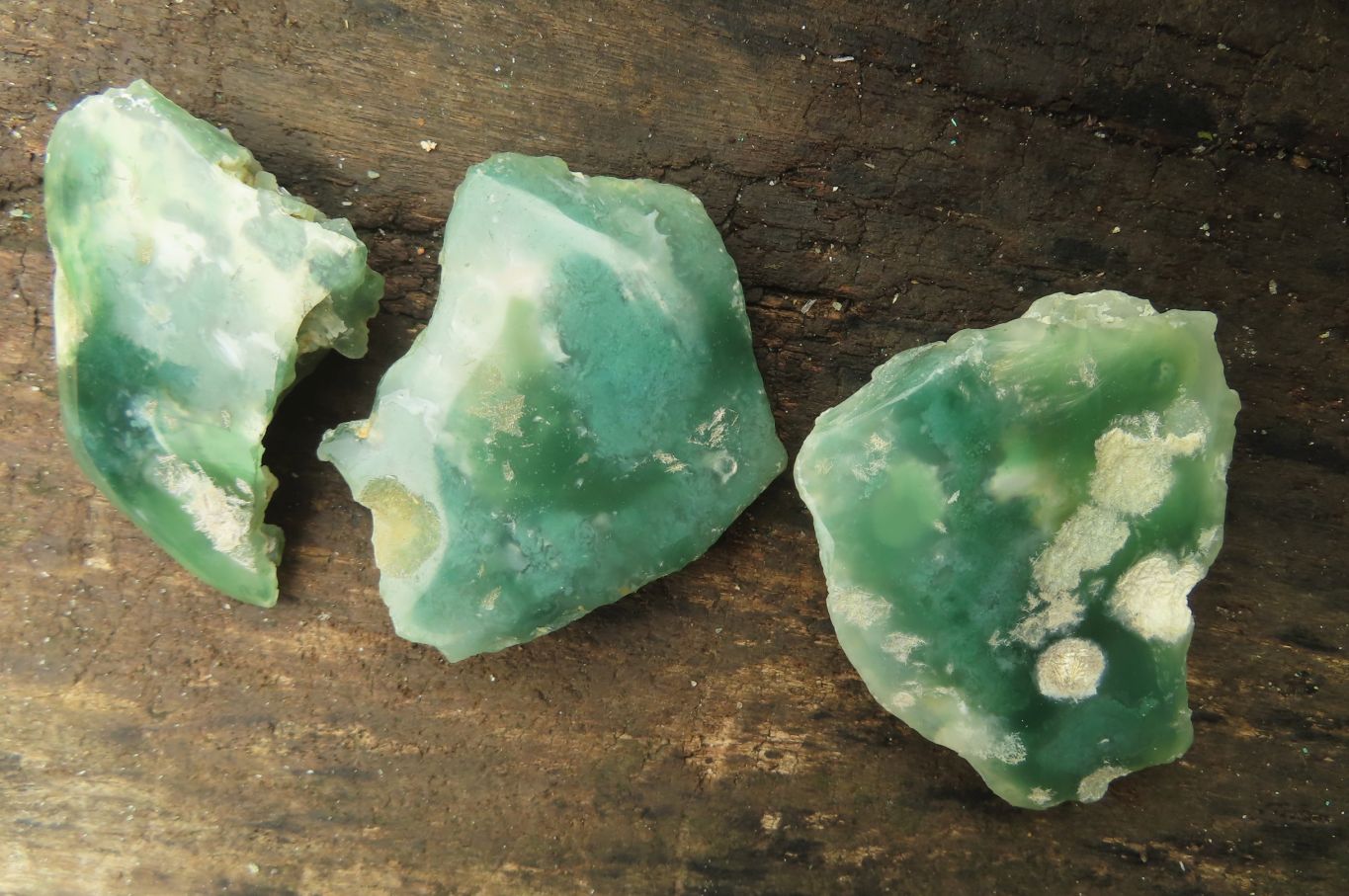 Polished On One Side Emerald Mtorolite Plates x 24 From Mutorashanga, Zimbabwe - Toprock Gemstones and Minerals 