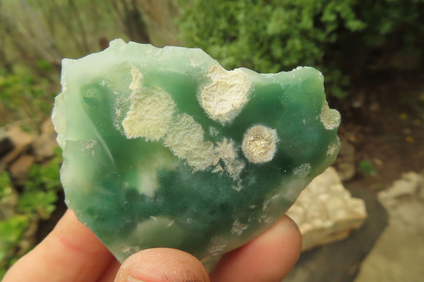 Polished On One Side Emerald Mtorolite Plates x 24 From Mutorashanga, Zimbabwe - Toprock Gemstones and Minerals 