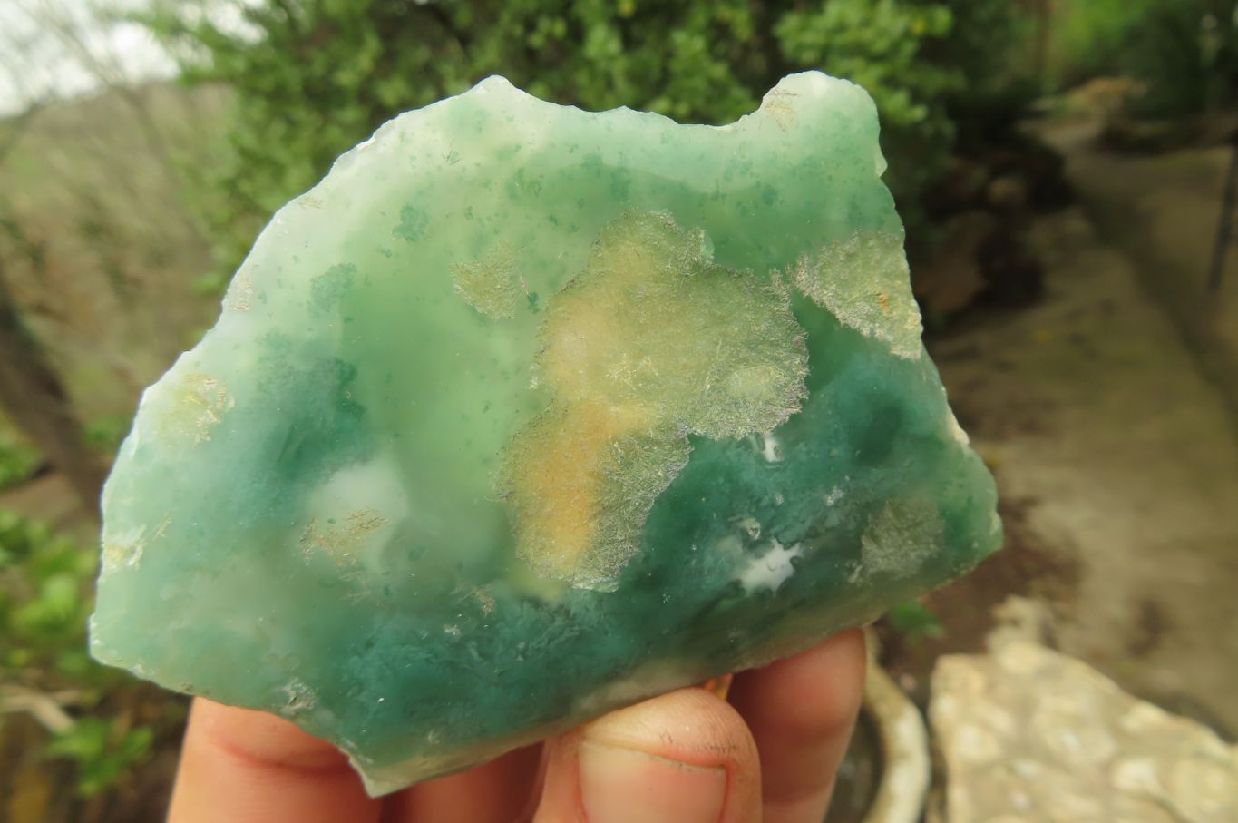 Polished On One Side Emerald Mtorolite Plates x 24 From Mutorashanga, Zimbabwe - Toprock Gemstones and Minerals 