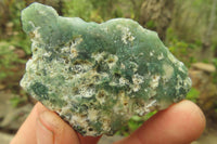 Polished On One Side Emerald Mtorolite Plates x 24 From Mutorashanga, Zimbabwe - Toprock Gemstones and Minerals 